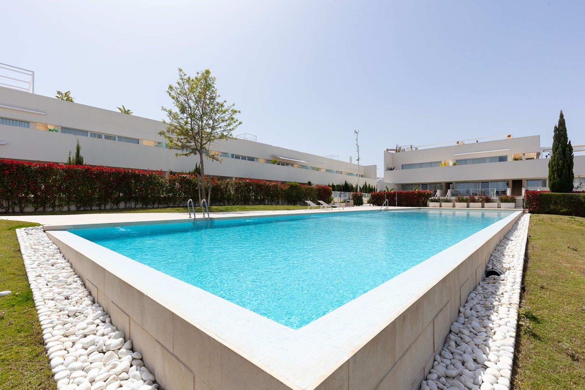 Reventa - Apartamento - Torrevieja