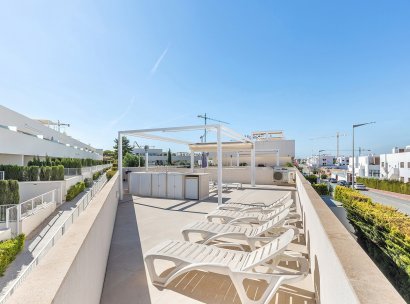 Apartamento · Reventa - Torrevieja · Los Balcones · Alicante · España