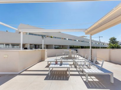 Apartamento · Reventa - Torrevieja · Los Balcones · Alicante · España