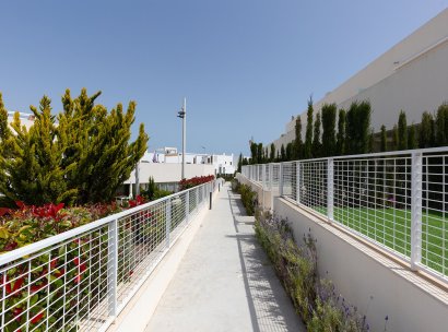 Apartamento · Reventa - Torrevieja · Los Balcones · Alicante · España
