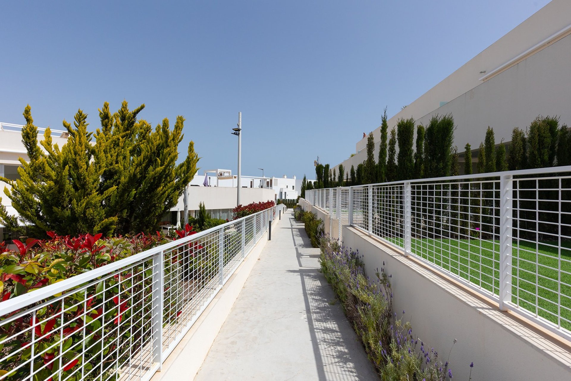 Reventa - Apartamento - Torrevieja