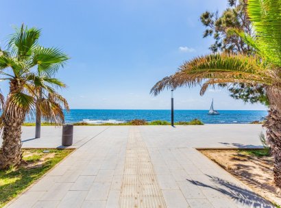 Apartment · Resale - Torrevieja · Centro · Alicante · Spain