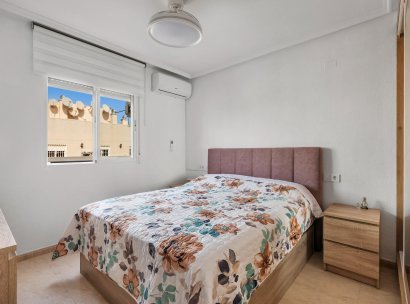 Apartamento · Reventa - Torrevieja · Estacion de autobuses · Alicante · España