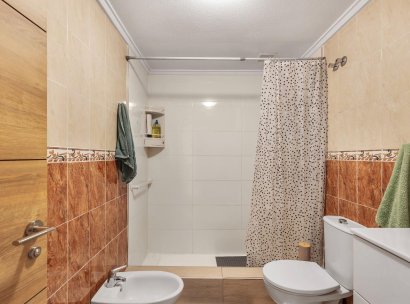 Apartamento · Reventa - Torrevieja · Estacion de autobuses · Alicante · España