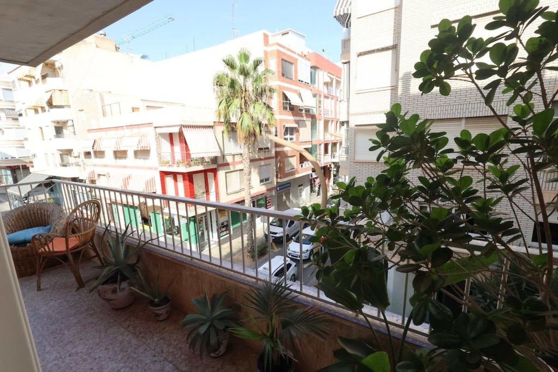 Återförsäljning - Lägenhet - Torrevieja