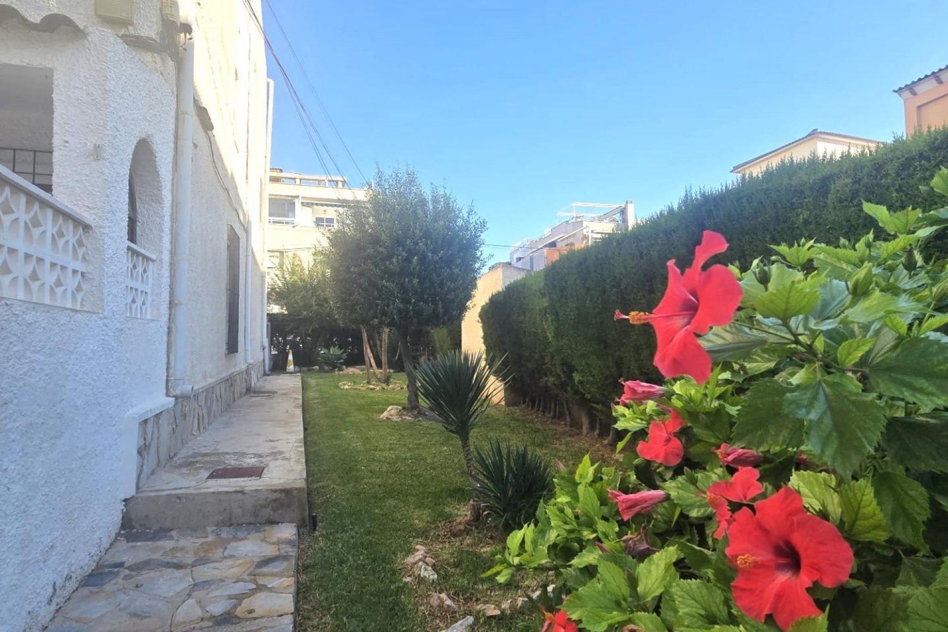 Reventa - Apartamento - Torrevieja