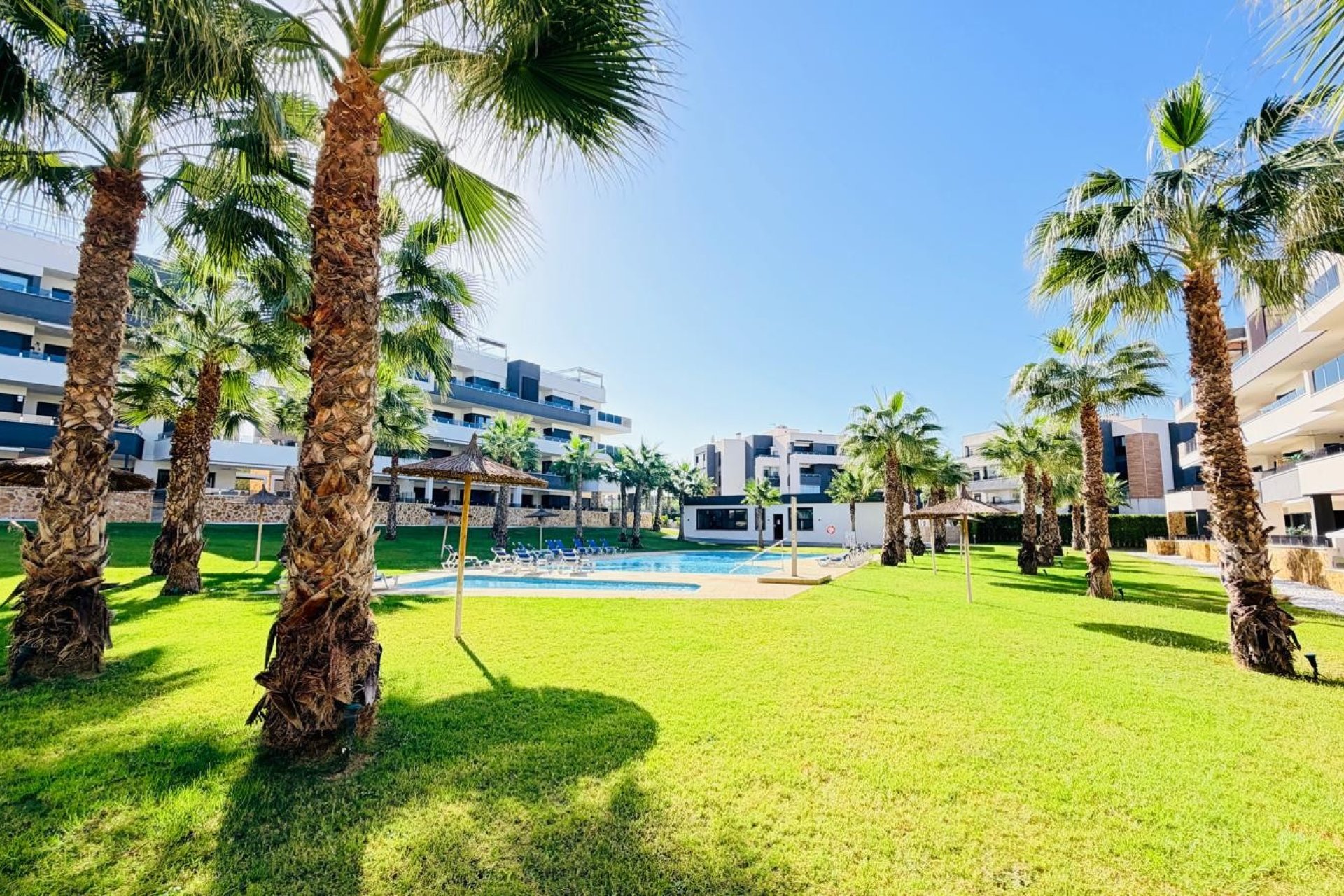 Herverkoop - Appartement - Orihuela Costa