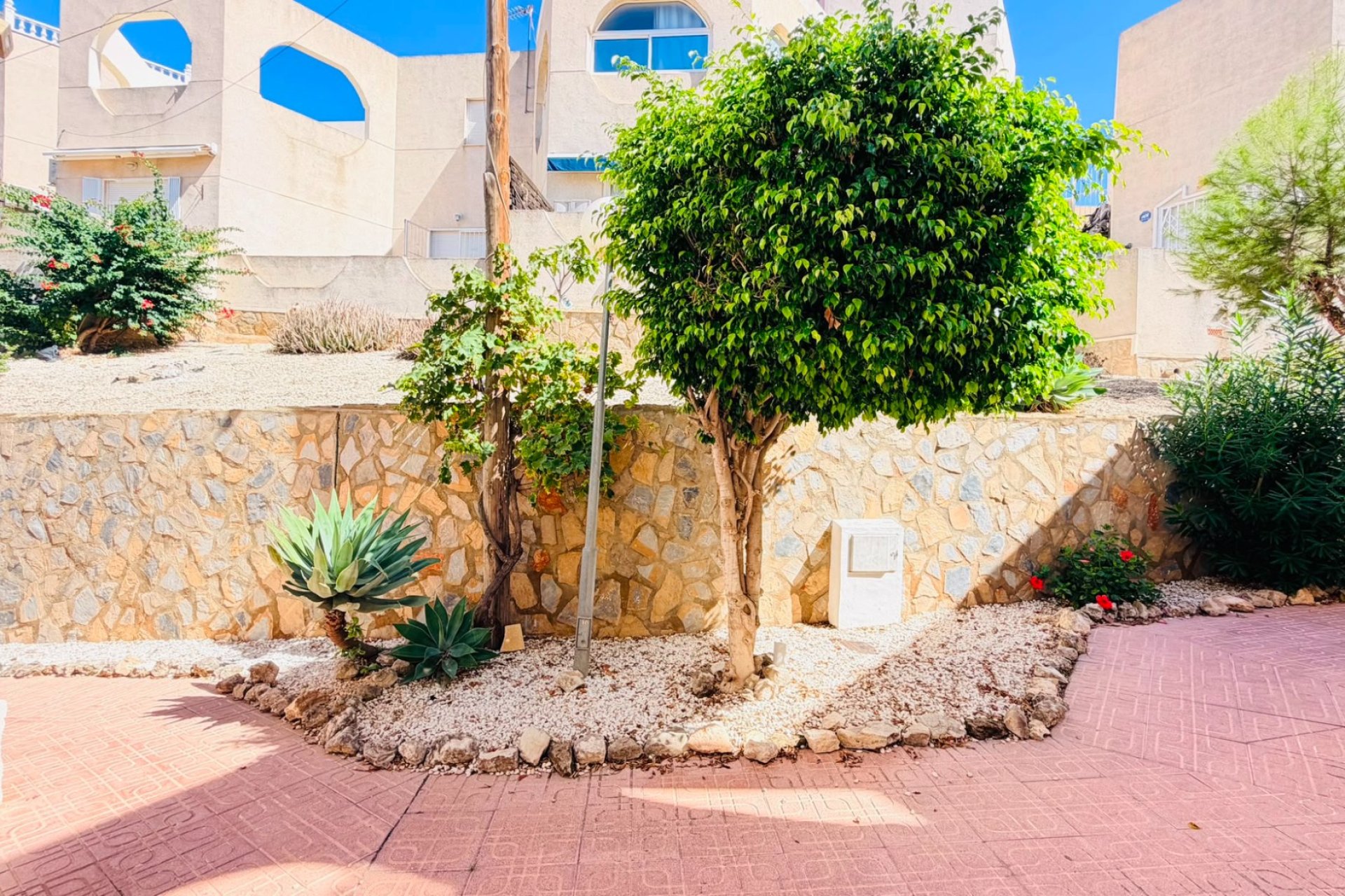 Reventa - Apartamento - San Miguel de Salinas