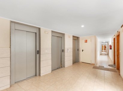 Apartamento · Reventa - Torrevieja · El Calvario / El Molino · Alicante · España