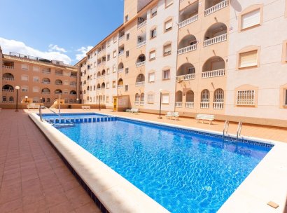 Apartamento · Reventa - Torrevieja · Estacion de autobuses · Alicante · España