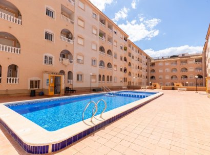 Apartamento · Reventa - Torrevieja · Estacion de autobuses · Alicante · España