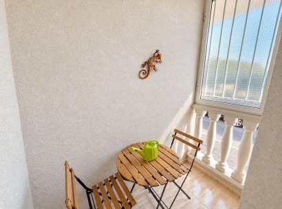 Apartamento · Reventa - Torrevieja · Centro · Alicante · España