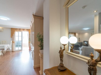 Apartamento · Reventa - Torrevieja · Centro · Alicante · España