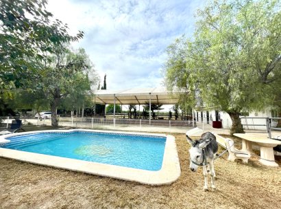 Finca · Reventa - Orihuela · Alicante · España