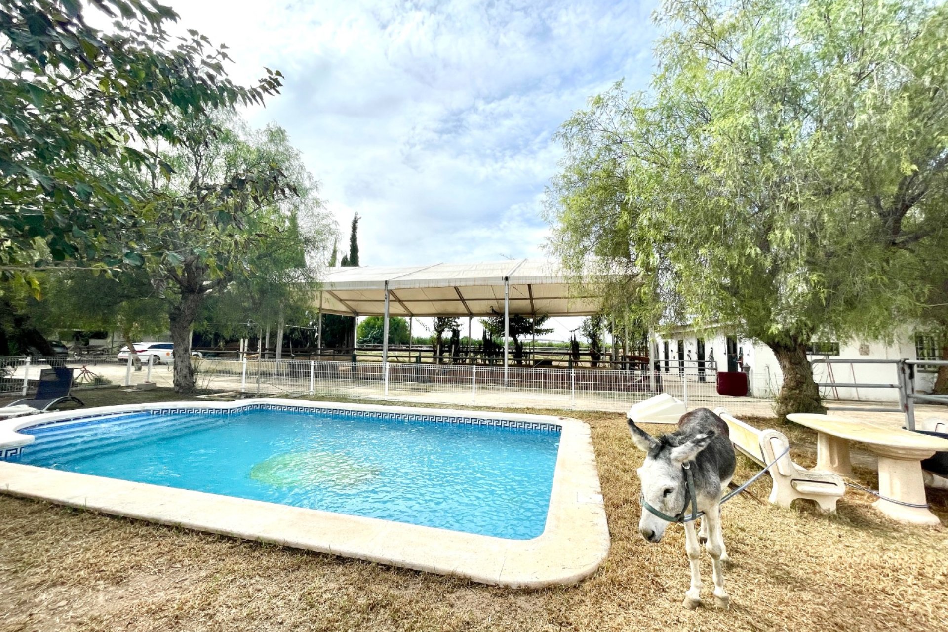 Wiederverkauf - Finca - Orihuela