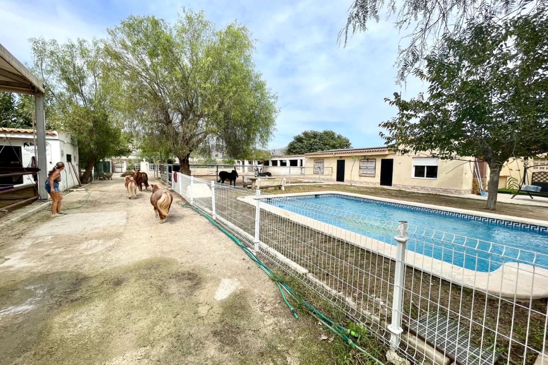Wiederverkauf - Finca - Orihuela