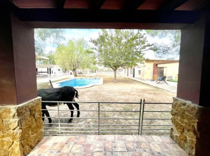 Finca · Reventa - Orihuela · Alicante · España