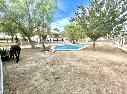 Finca · Reventa - Orihuela · Alicante · España
