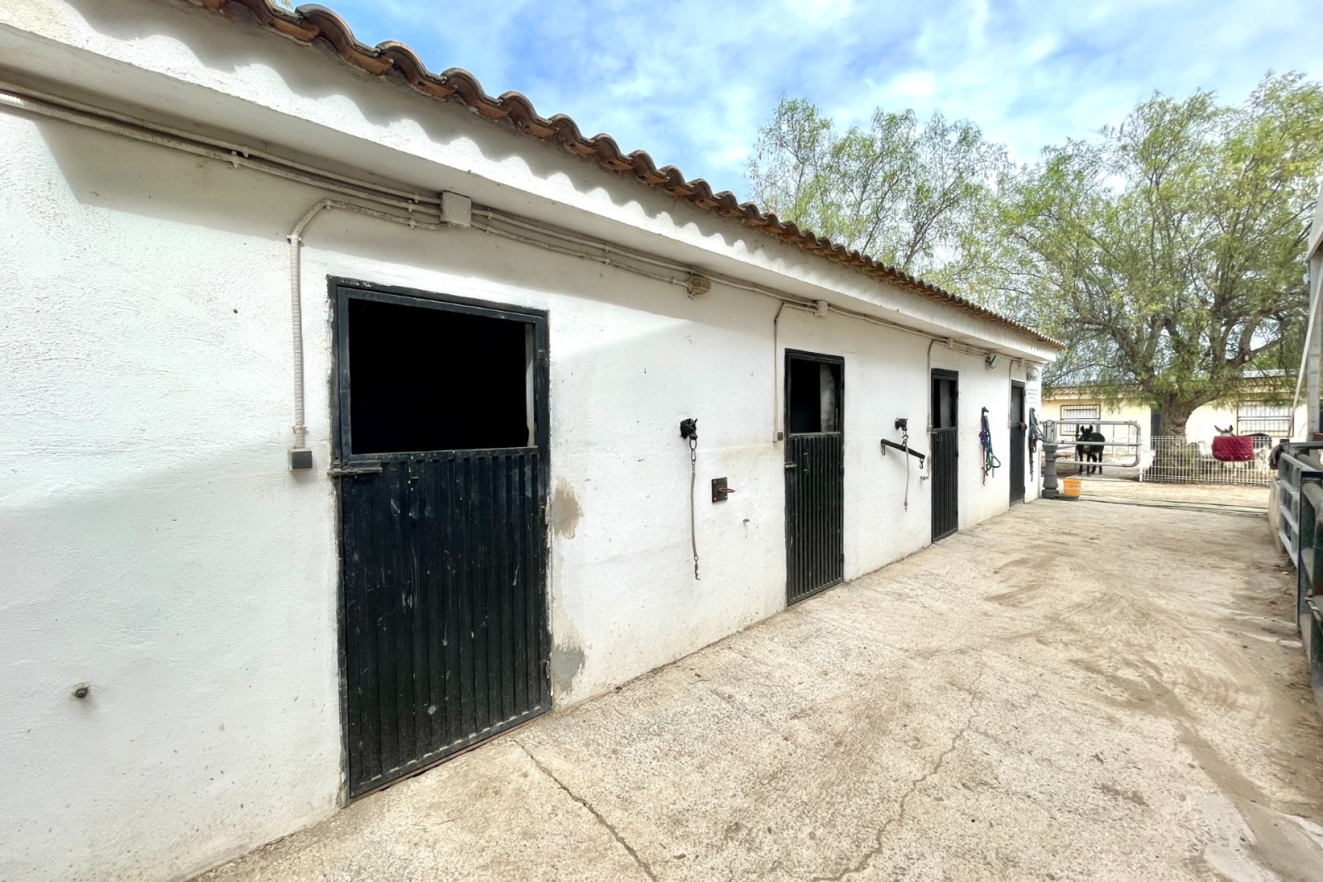 Wiederverkauf - Finca - Orihuela