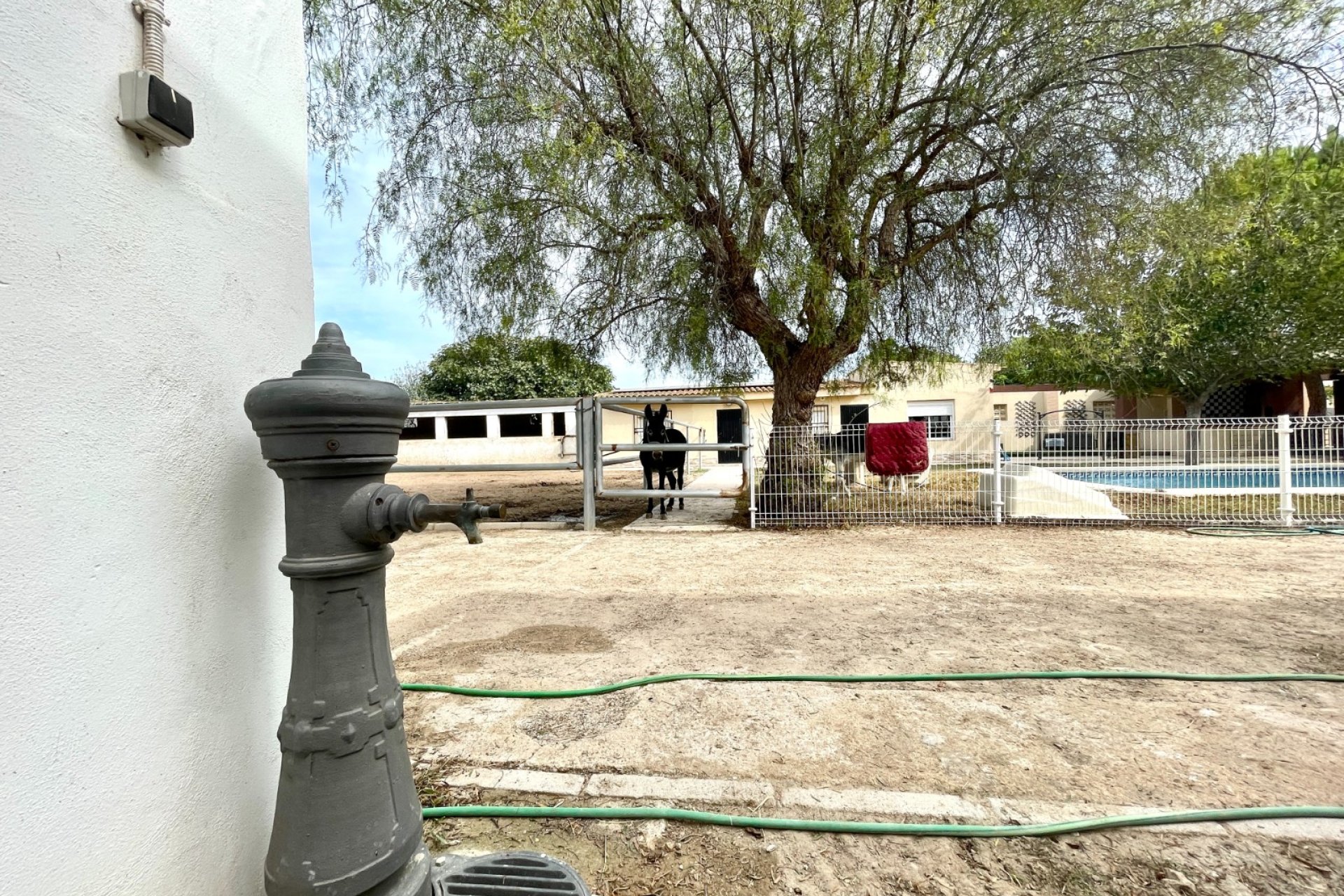 Wiederverkauf - Finca - Orihuela