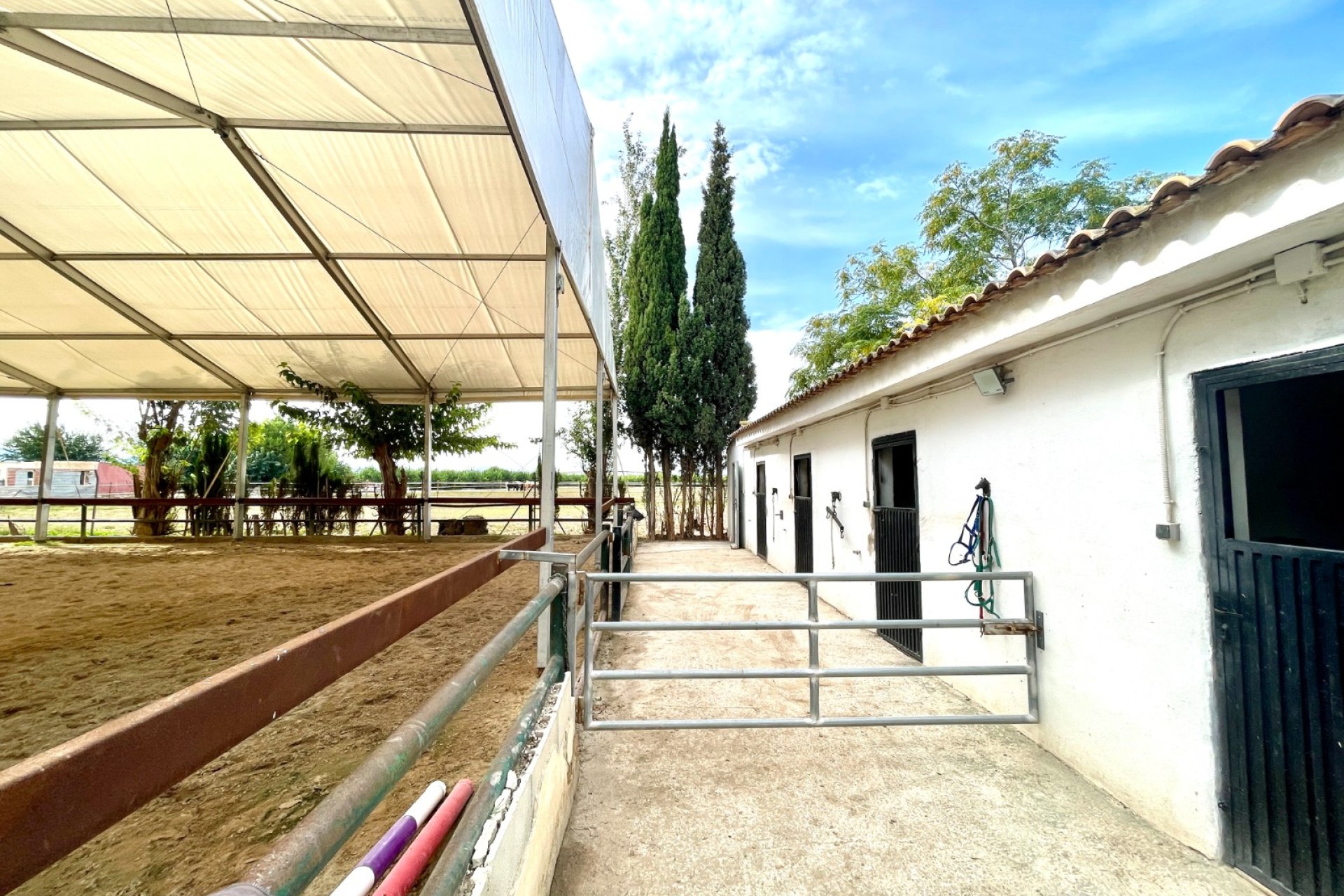 Wiederverkauf - Finca - Orihuela