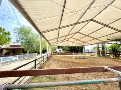 Finca · Reventa - Orihuela · Alicante · España