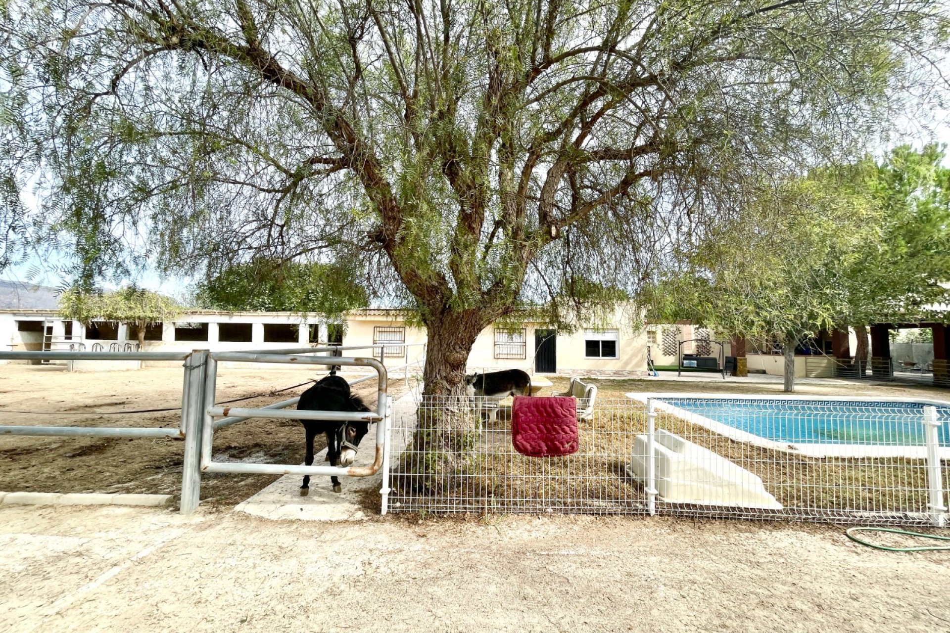 Wiederverkauf - Finca - Orihuela