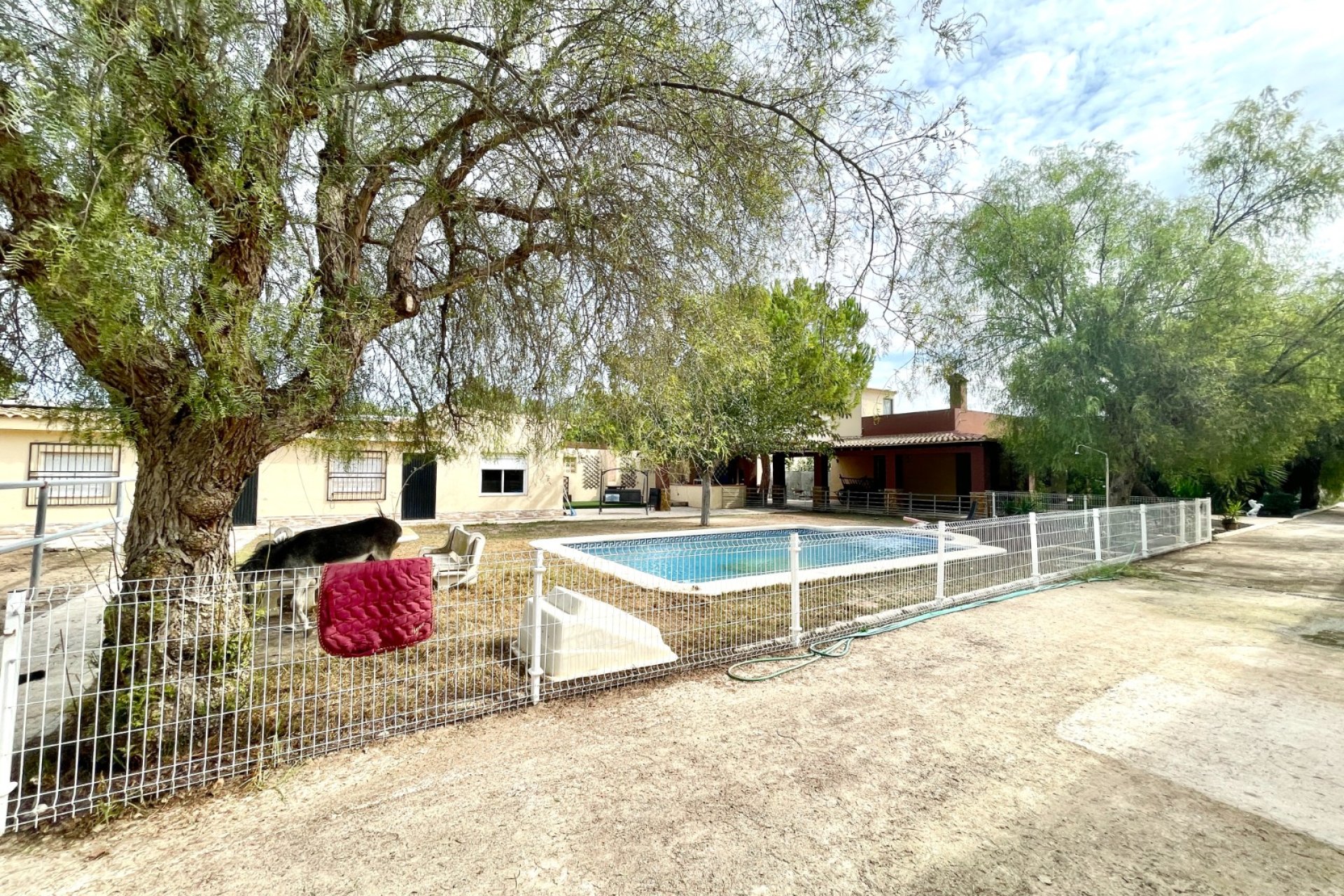 Wiederverkauf - Finca - Orihuela