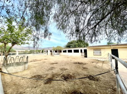 Finca · Reventa - Orihuela · Alicante · España
