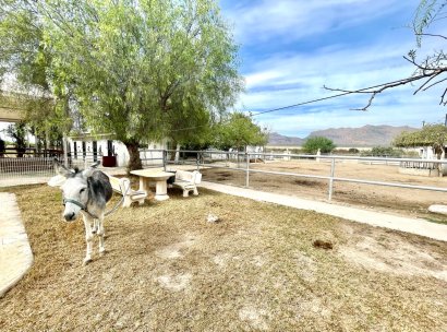 Finca · Reventa - Orihuela · Alicante · España