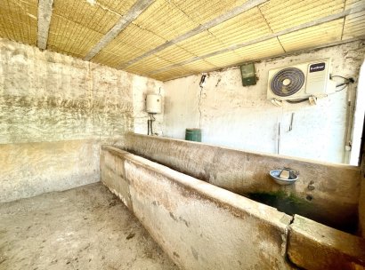 Finca · Reventa - Orihuela · Alicante · España
