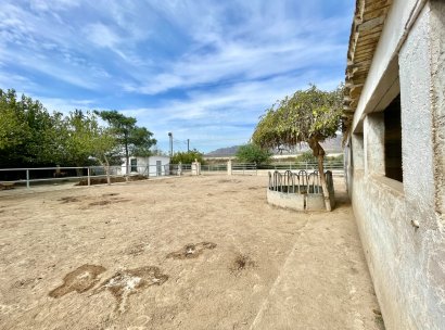 Finca · Reventa - Orihuela · Alicante · España