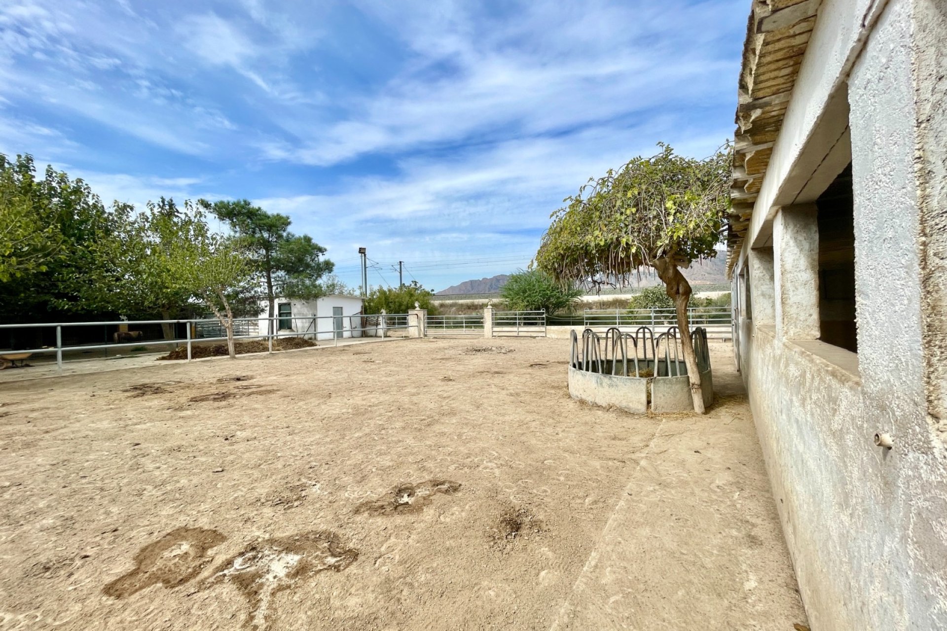 Wiederverkauf - Finca - Orihuela