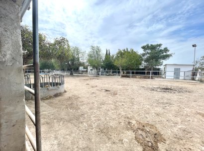 Finca · Reventa - Orihuela · Alicante · España