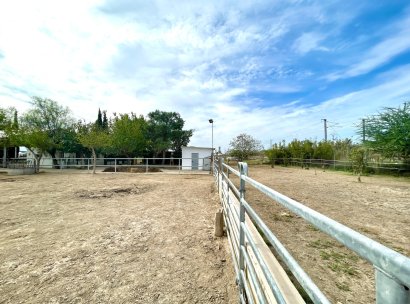 Finca · Reventa - Orihuela · Alicante · España