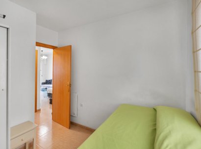 Apartment · Resale - Torrevieja · El Calvario / El Molino · Alicante · Spain