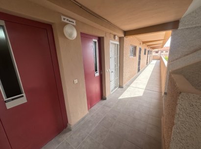 Apartment · Resale - Guardamar del Segura · Lomas de Polo-Pinomar · Alicante · Spain