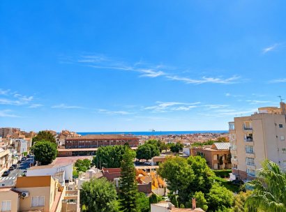 Apartment · New Build - Torrevieja · Nueva Torrevieja · Alicante · Spain