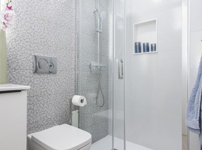 Apartment · New Build - Torrevieja · Nueva Torrevieja · Alicante · Spain