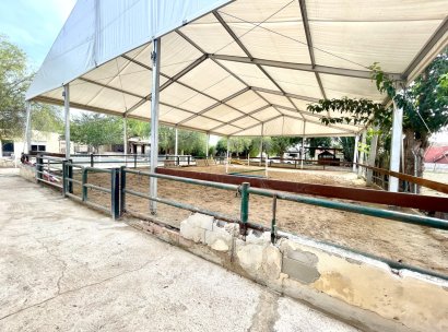Finca · Wiederverkauf - Orihuela · Alicante · Spanien