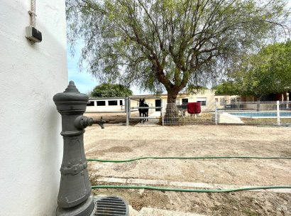 Finca · Wiederverkauf - Orihuela · Alicante · Spanien