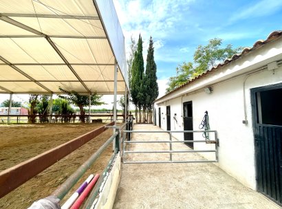 Finca · Wiederverkauf - Orihuela · Alicante · Spanien