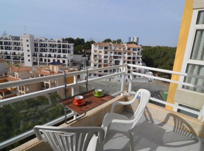 Wohnung · Wiederverkauf - Dehesa de Campoamor · Alicante · Spanien