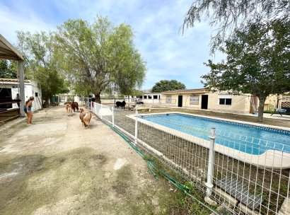 Finca · Herverkoop - Orihuela · Alicante · Spanje