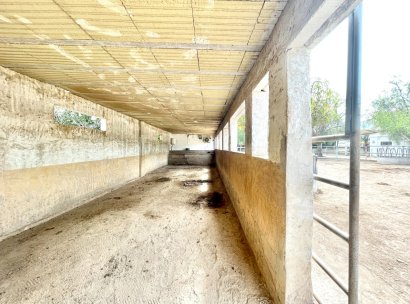 Finca · Herverkoop - Orihuela · Alicante · Spanje