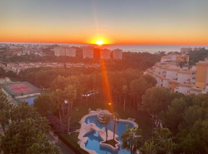 Appartement · Herverkoop - Dehesa de Campoamor · Alicante · Spanje