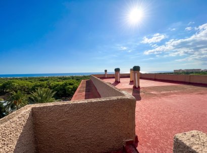 Appartement · Herverkoop - Guardamar del Segura · Lomas de Polo-Pinomar · Alicante · Spanje