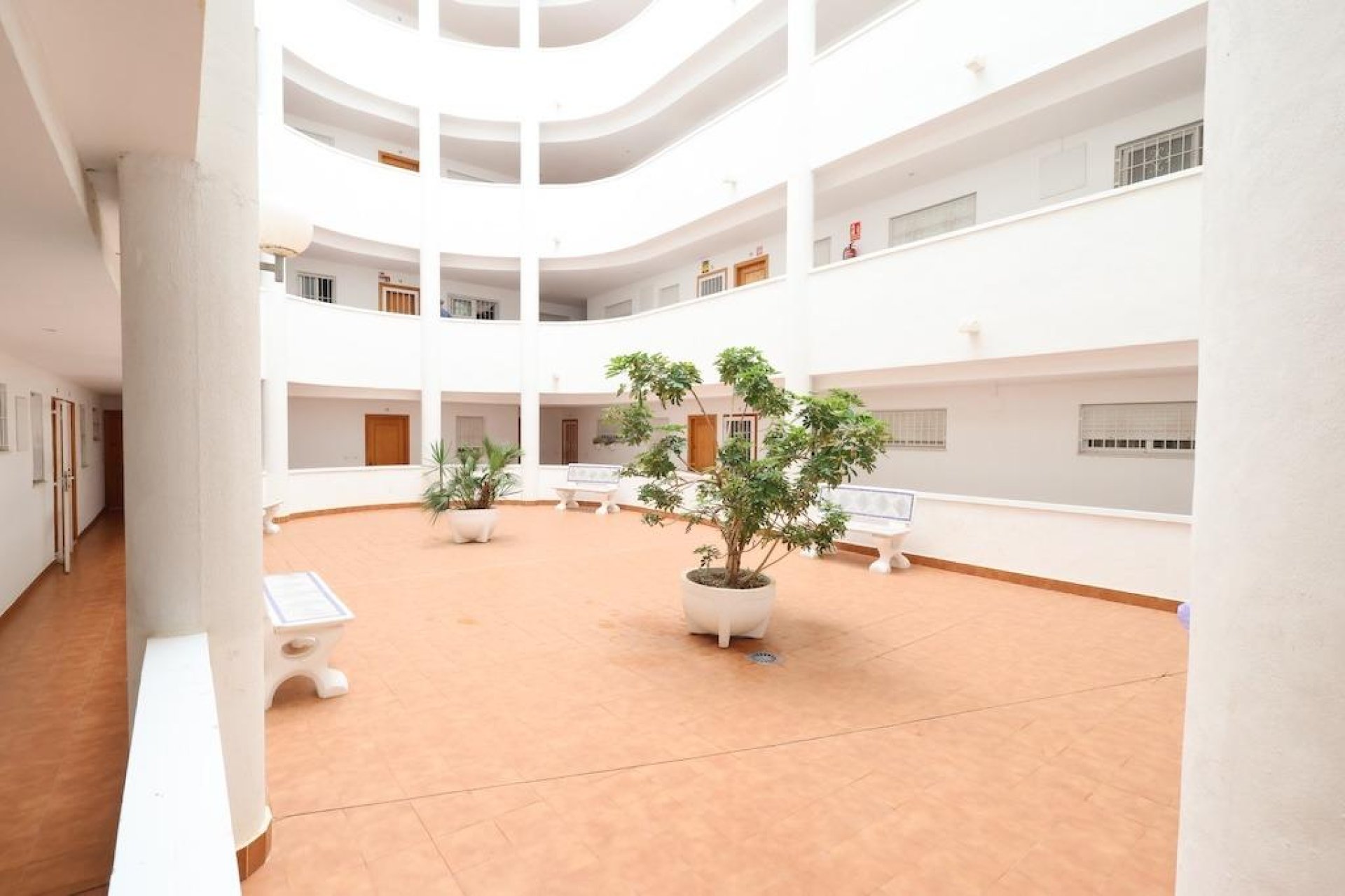 Wiederverkauf - Wohnung - Torrevieja