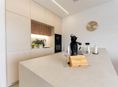 House · New Build - San Pedro del Pinatar · Murcia · Spain