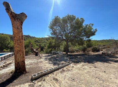 Finca · Herverkoop - Torremendo · Alicante · Spanje
